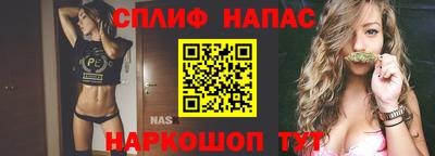 дживик Кингисепп