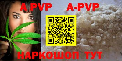 дживик Кингисепп