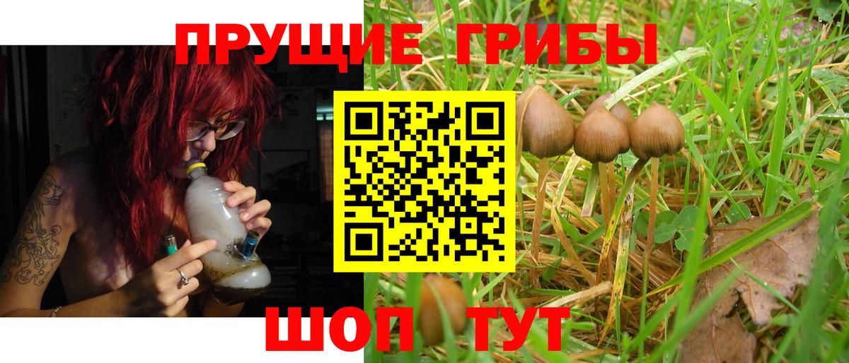 Галлюциногенные грибы Psilocybine cubensis  Вход с VPN  Кудрово 
